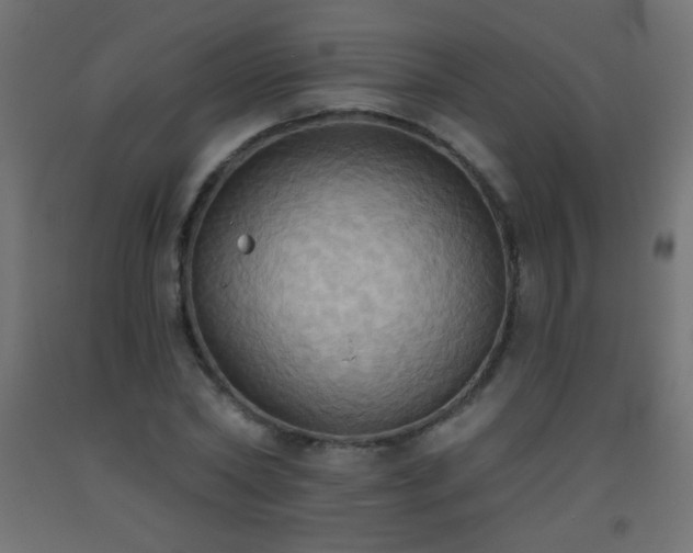 X0000093520782200710121544