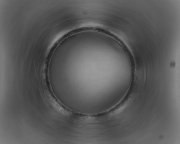 X0000093520783200710121544
