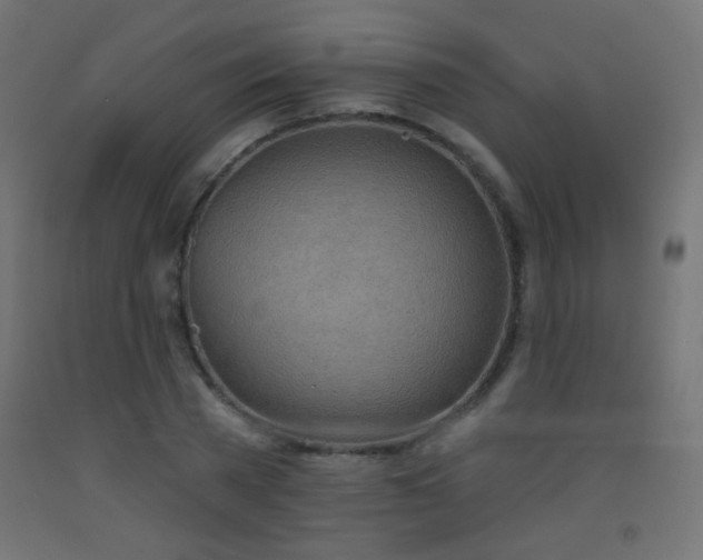 X0000093520785200710121544
