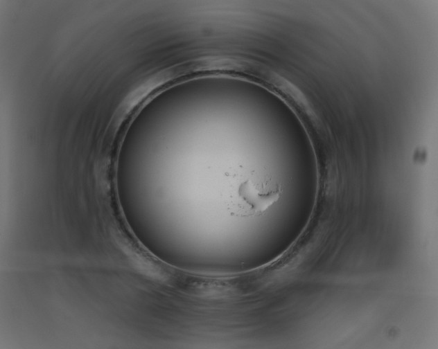 X0000093520786200710121544
