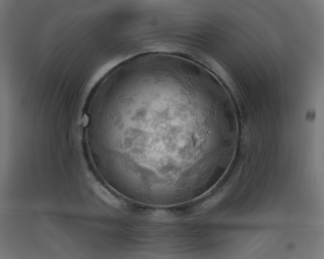 X0000093520787200710121544