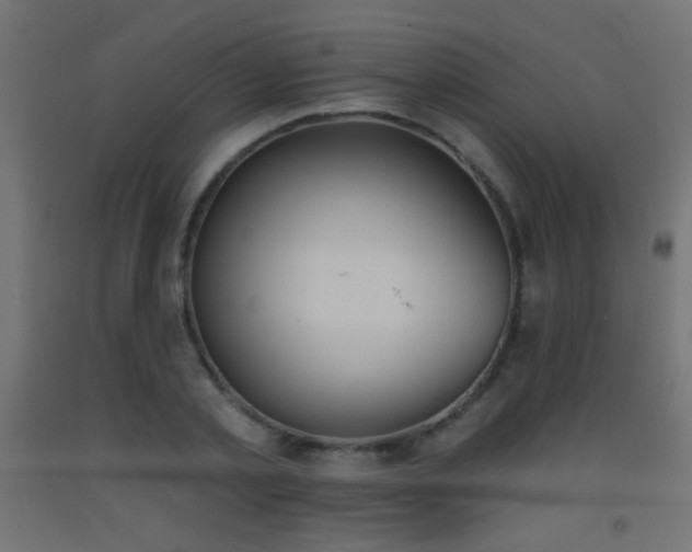 X0000093520789200710121544
