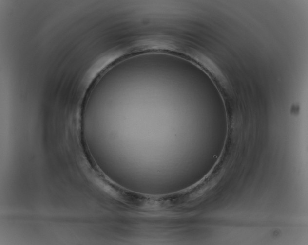 X0000093520790200710121544