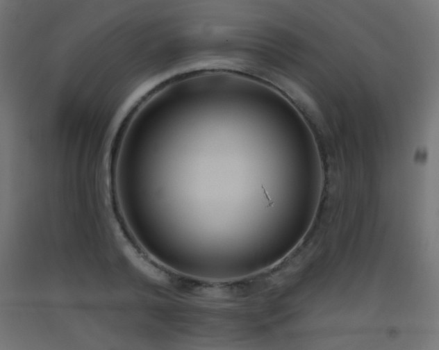 X0000093520792200710121544