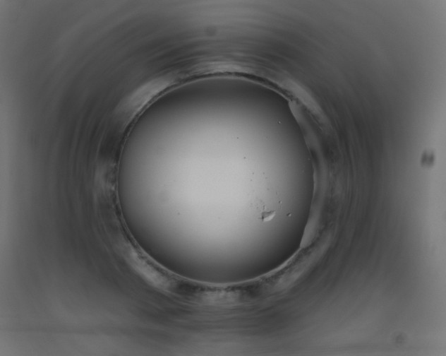 X0000093520793200710121544