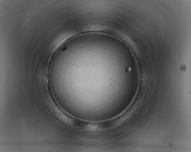 X0000093520794200710121544