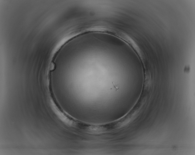 X0000093520795200710121544
