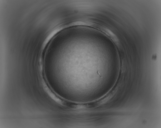 X0000093520796200710121544