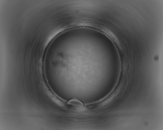 X0000093520798200710121544