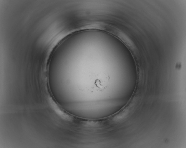 X0000093520800200710121544