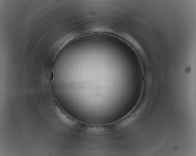 X0000093520801200710121544