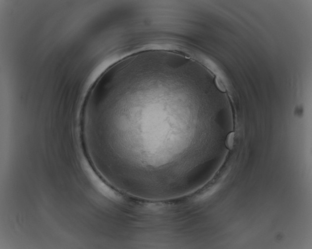 X0000093520803200710121544