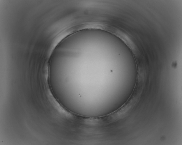 X0000093520804200710121544