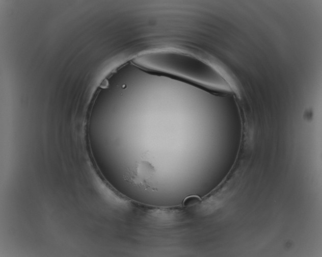 X0000093520805200710121544
