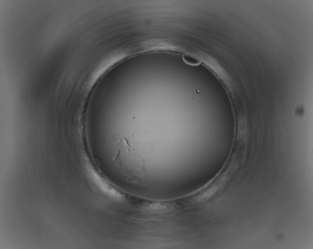 X0000093520806200710121544