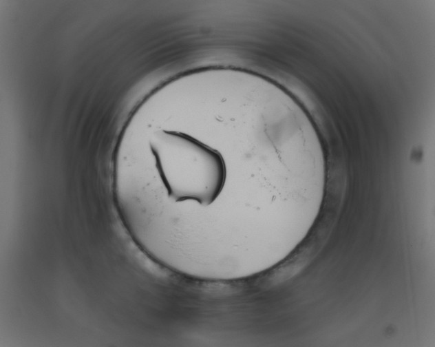 X0000093520807200710121544