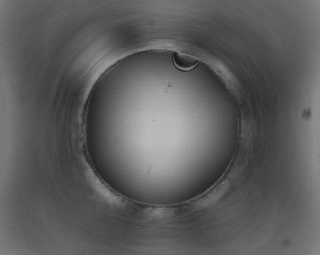 X0000093520808200710121544