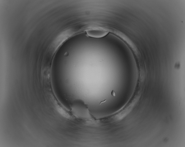 X0000093520809200710121544
