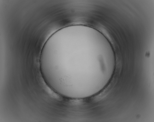 X0000093520810200710121544