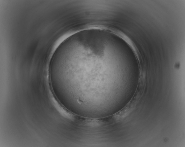 X0000093520811200710121544