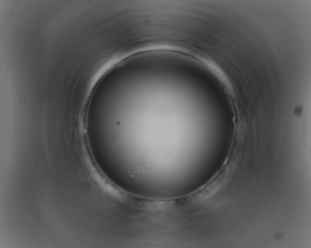 X0000093520813200710121544