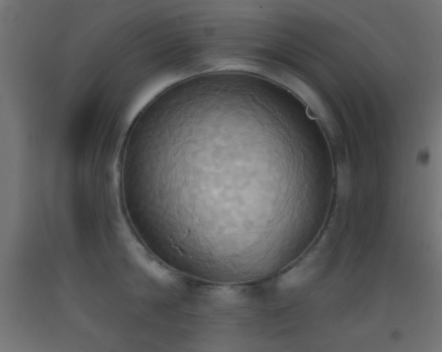 X0000093520814200710121543