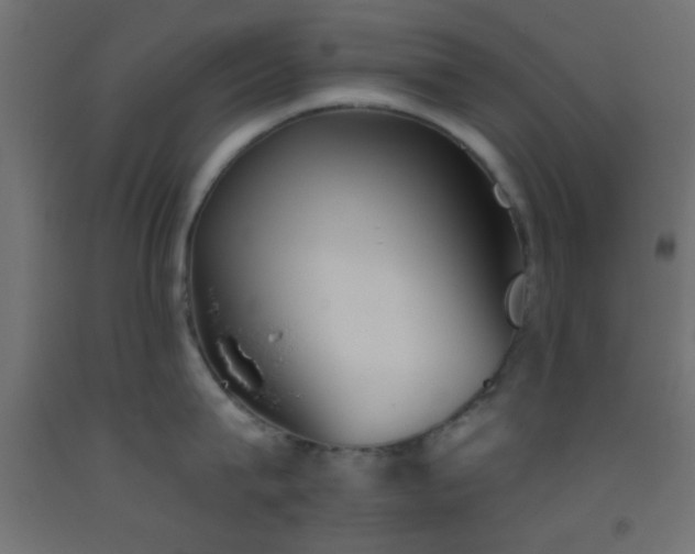X0000093520815200710121543