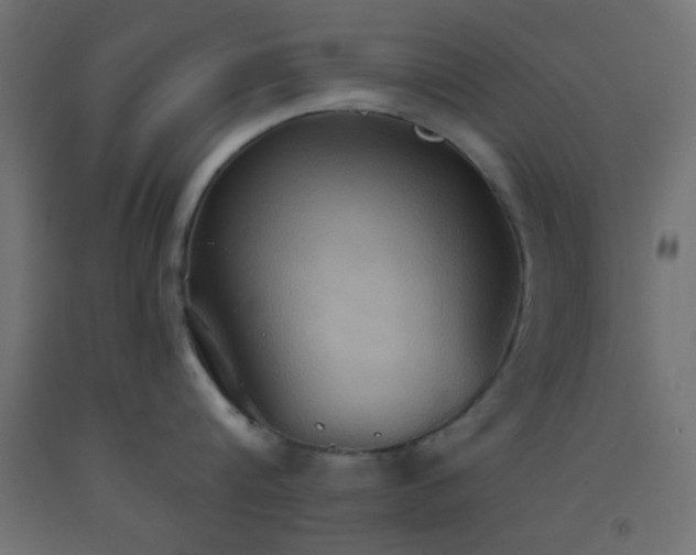 X0000093520816200710121543