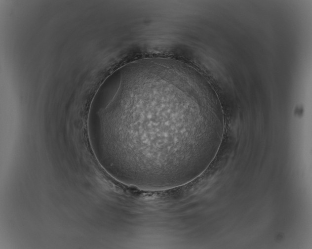 X0000093520817200710121543