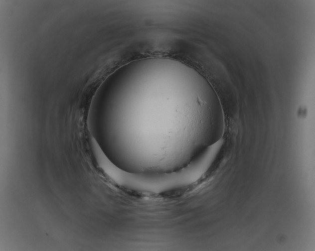 X0000093520818200710121543