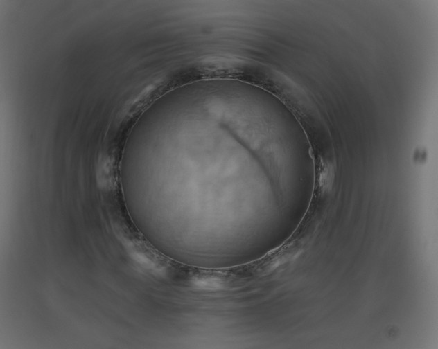 X0000093520819200710121543