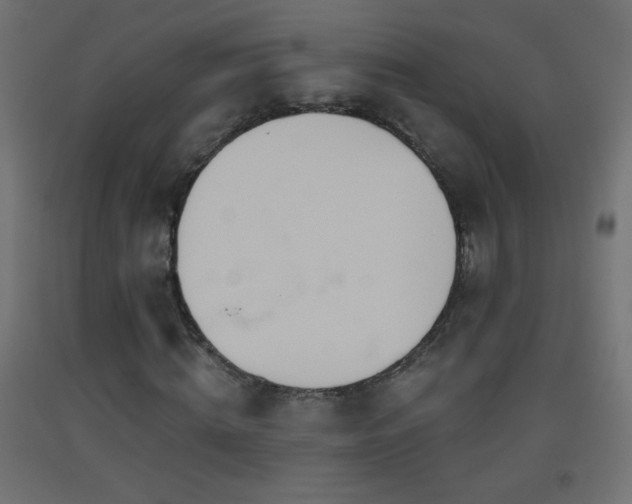 X0000093520820200710121543