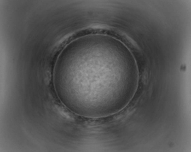 X0000093520821200710121543