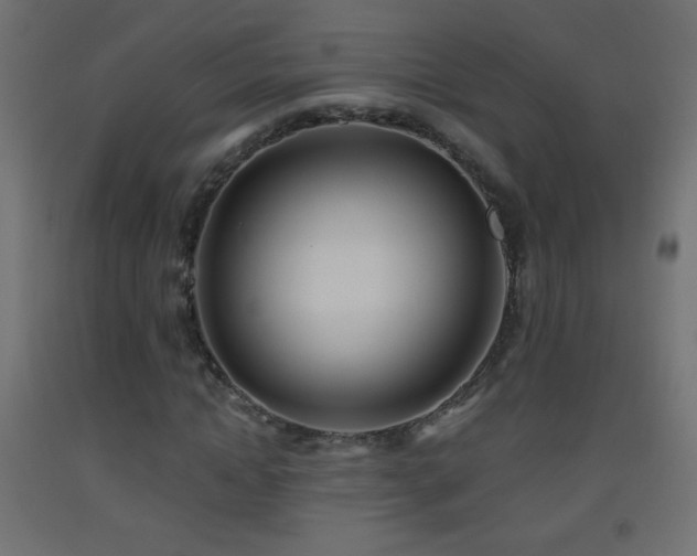X0000093520822200710121543