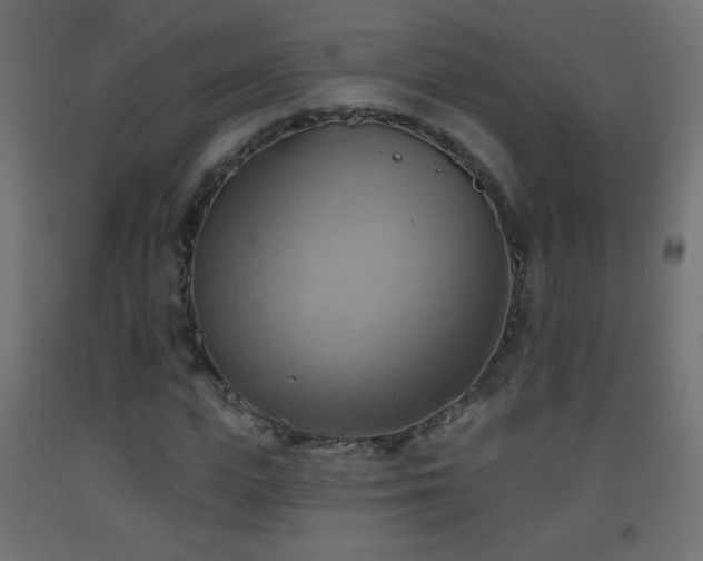 X0000093520823200710121543