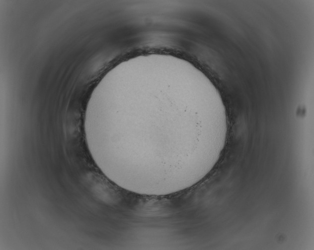 X0000093520824200710121543
