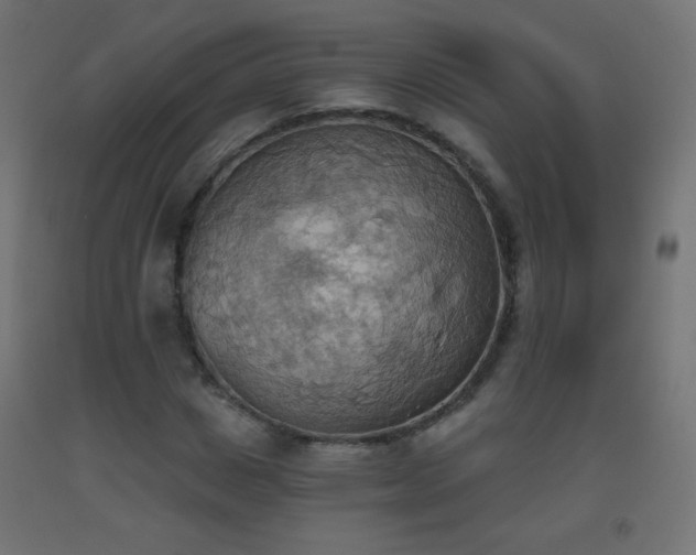 X0000093520825200710121543