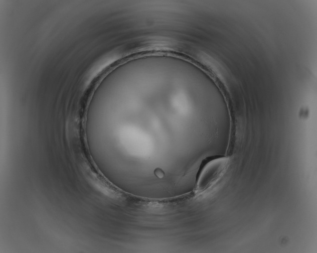 X0000093520827200710121543