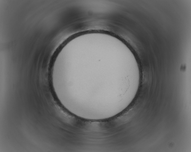 X0000093520828200710121543
