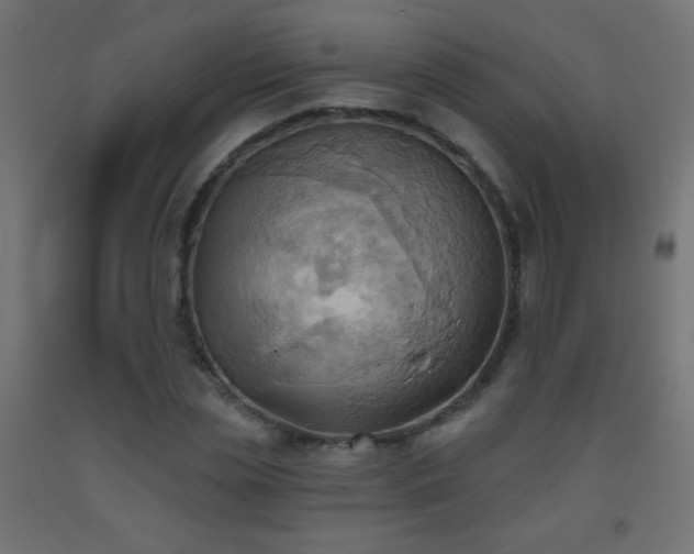 X0000093520829200710121543