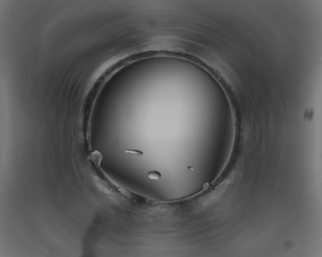X0000093520830200710121543