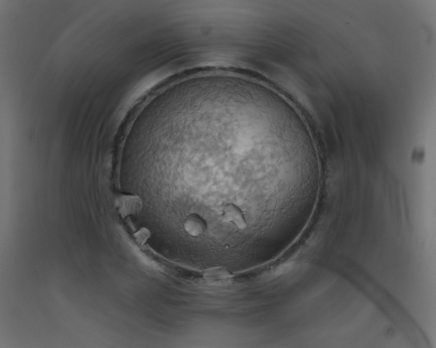 X0000093520831200710121543