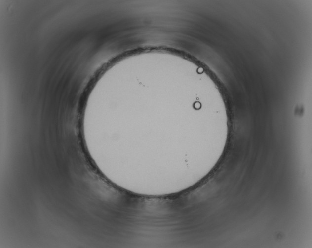 X0000093520832200710121543