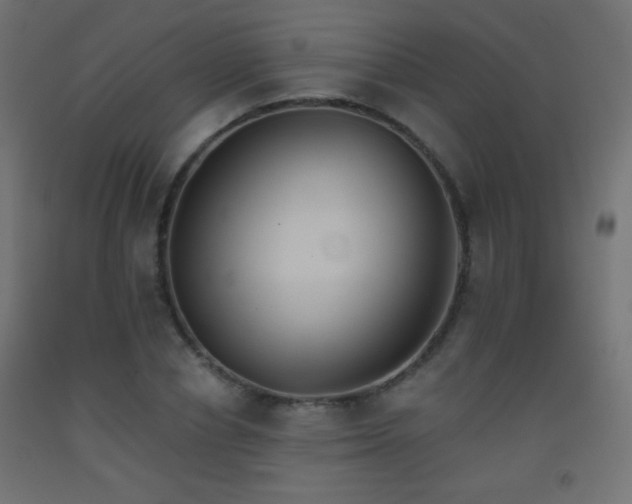 X0000093520834200710121543