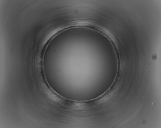X0000093520835200710121543