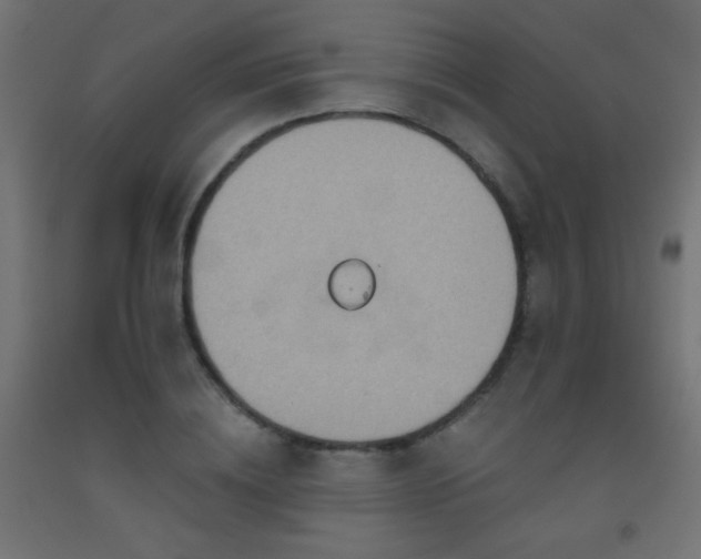 X0000093520836200710121543