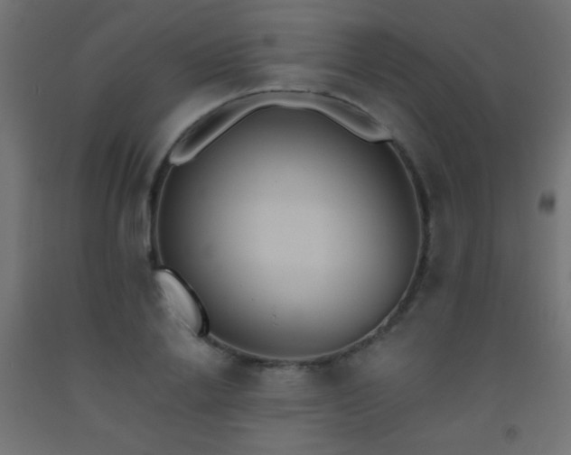 X0000093520838200710121543