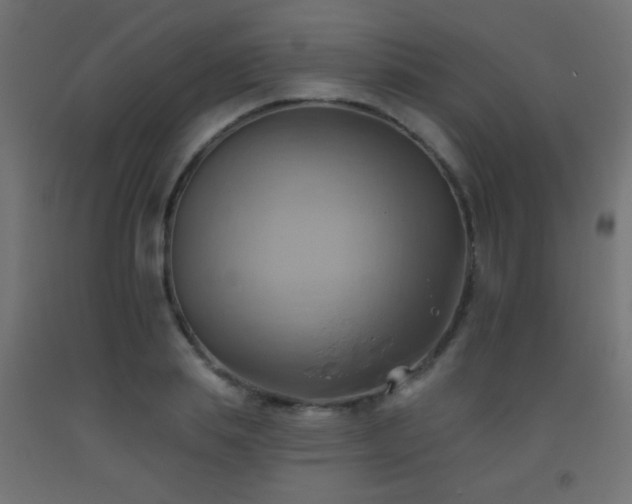X0000093520839200710121543
