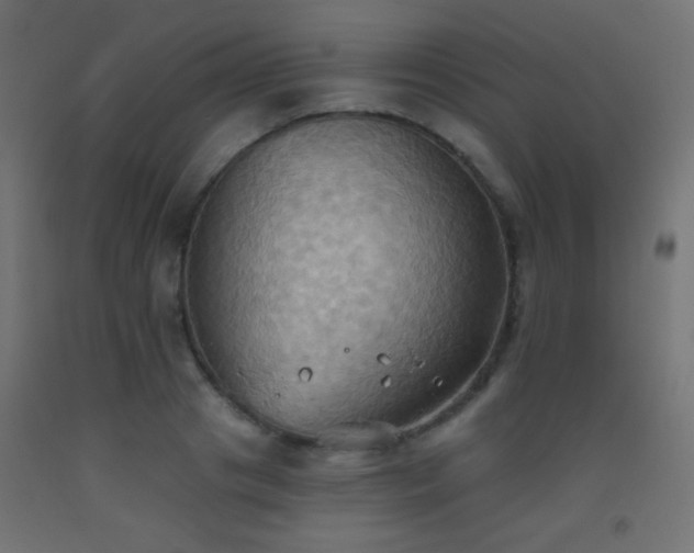 X0000093520841200710121543