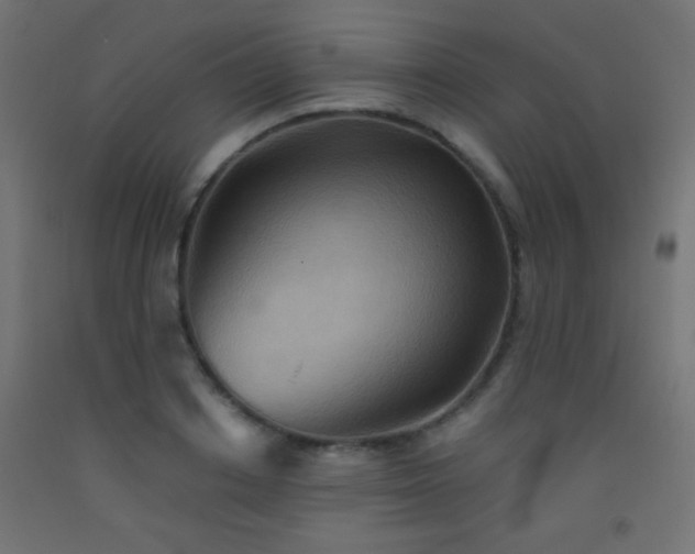 X0000093520842200710121543